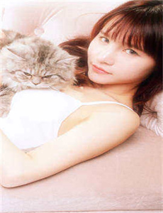 《3d号码分布八卦图-毕加猪》