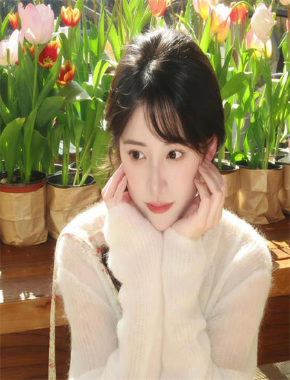 解码神秘女郎爱丽丝：从剧情到主题的探索之旅